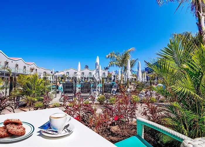 Hotel Livvo Calderones - Adults Recommended