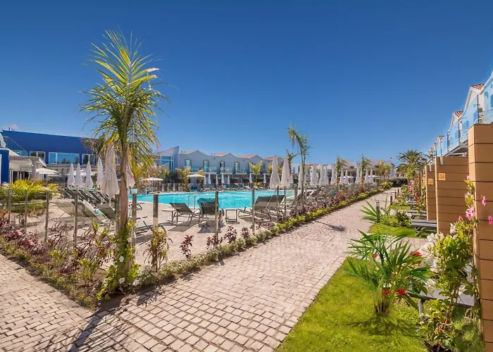 Livvo Calderones - Adults Recommended