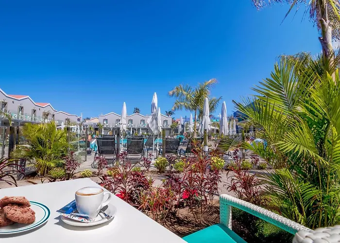 Livvo Calderones - Adults Recommended